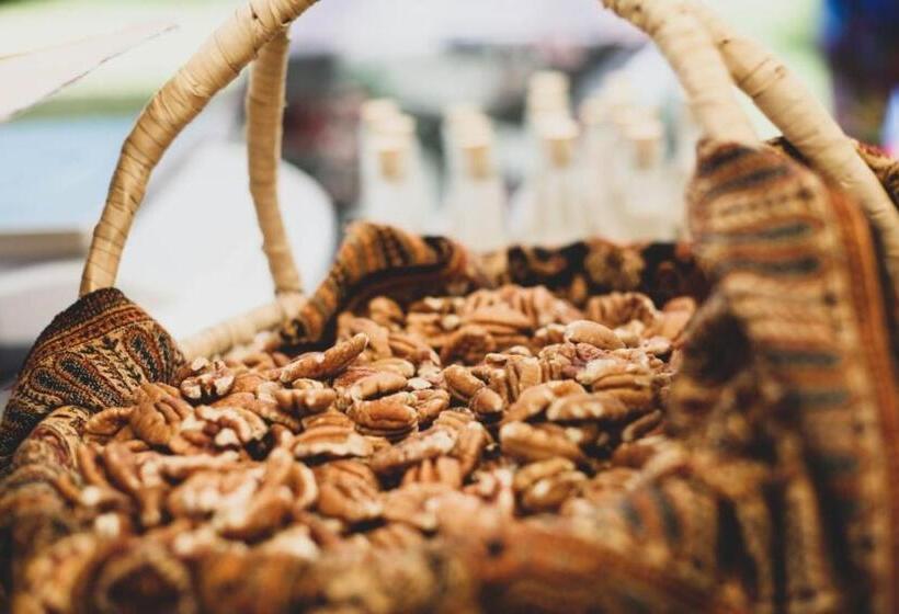 酒店 Sanctuary Guest & Adventure Farm