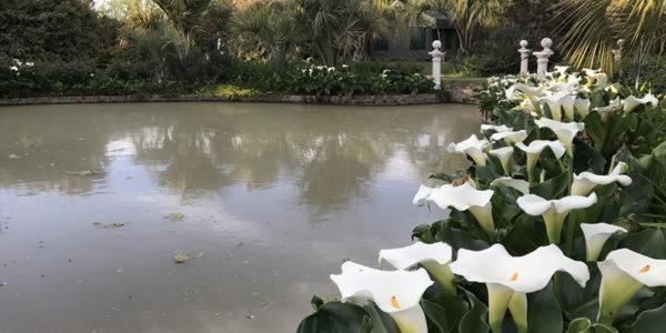 酒店 Sanctuary Guest & Adventure Farm