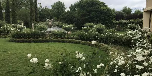 ホテル Sanctuary Guest & Adventure Farm