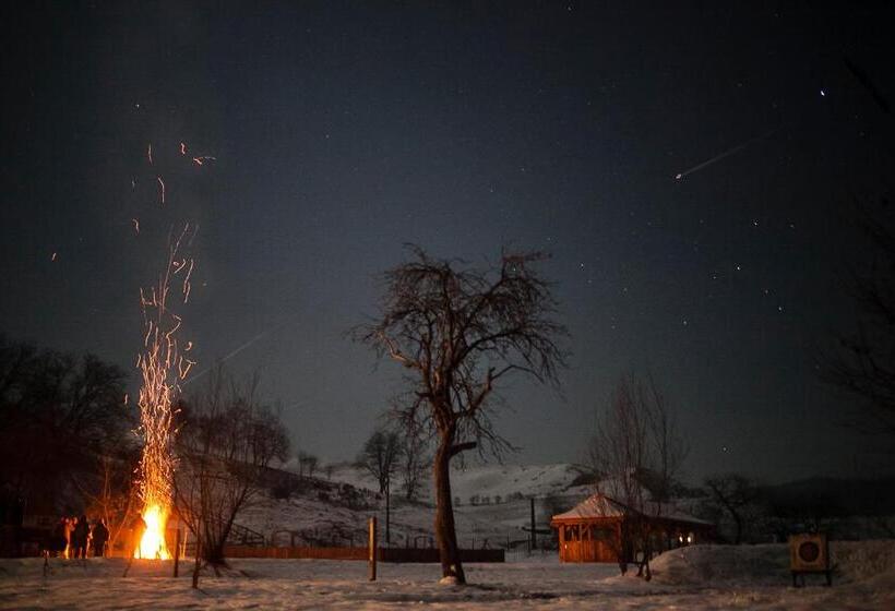 Отель Valea Verde Retreat Transilvania