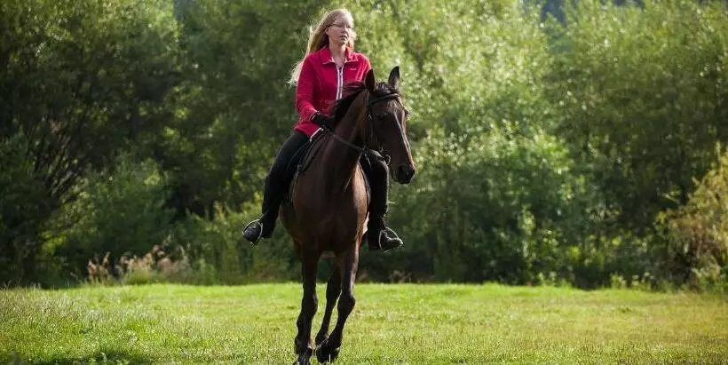 Hotelli Valea Verde Retreat Transilvania