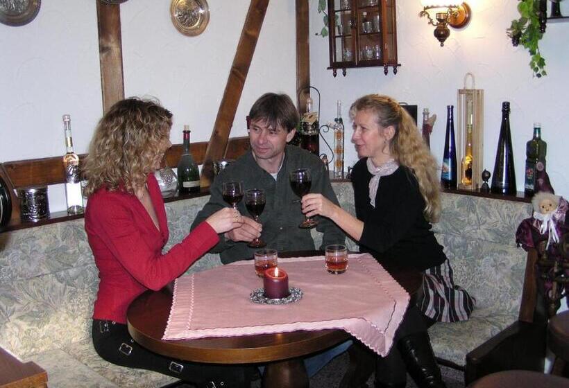 Пансион 4 Sterne Ferienwohnung Sommerberg Inklusive Gästekarte