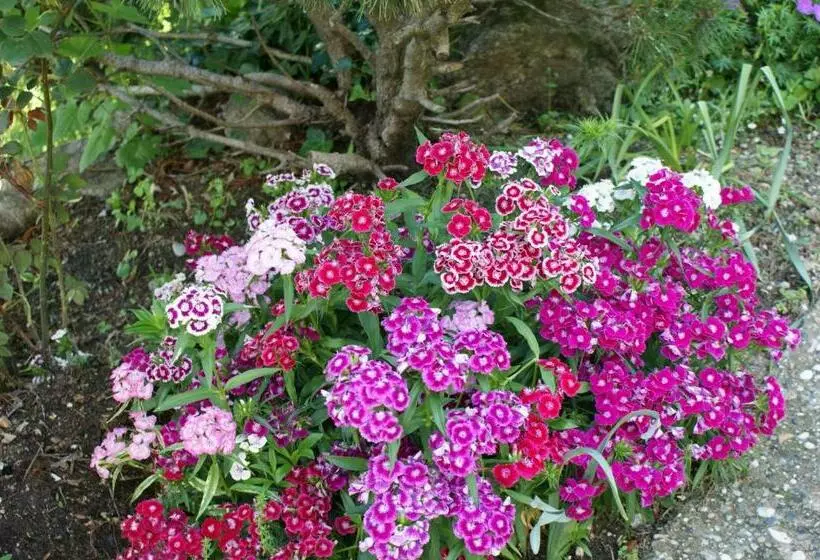 Majatalo L Oustau De Pequeti