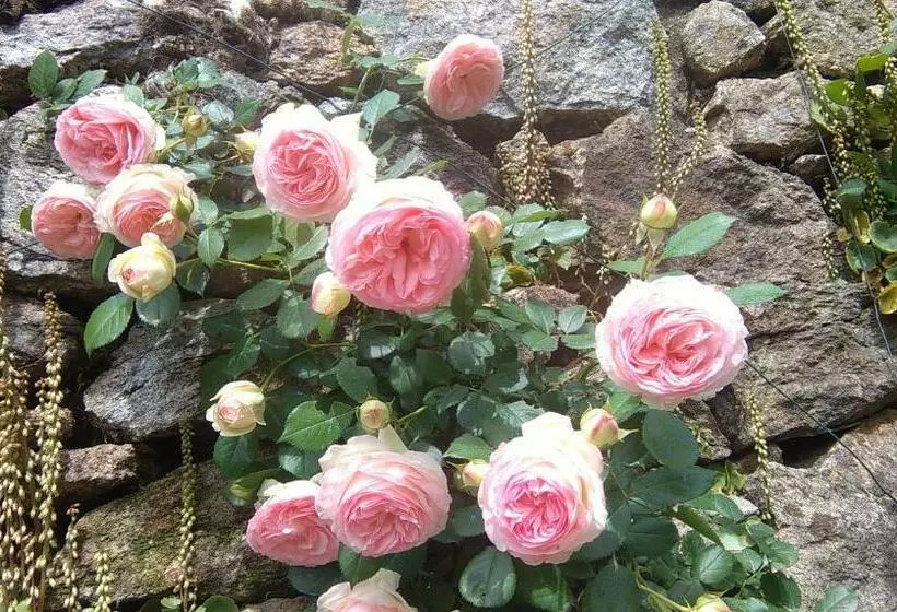 Majatalo L Oustau De Pequeti