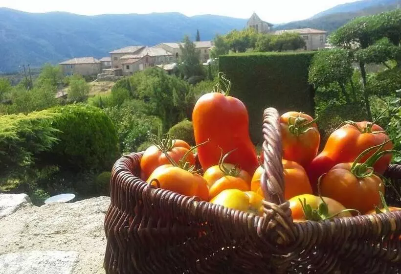 Majatalo L Oustau De Pequeti