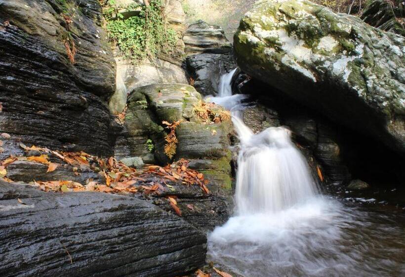 بنسيون La Mia Casa Di Campagna