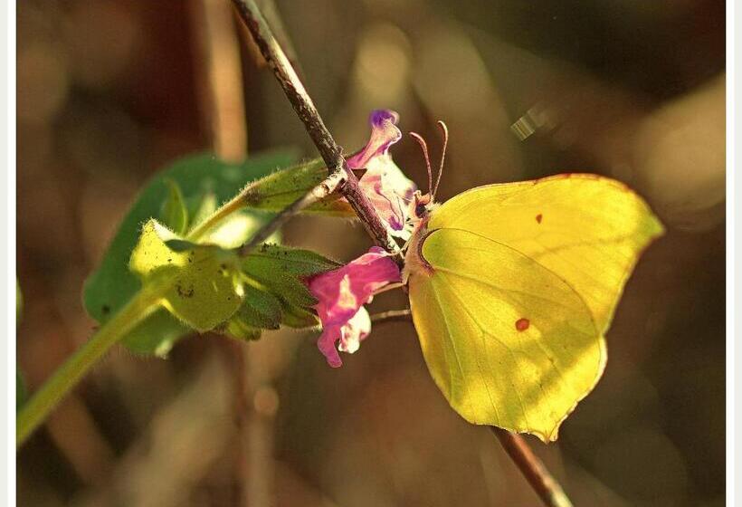 بنسيون La Mia Casa Di Campagna
