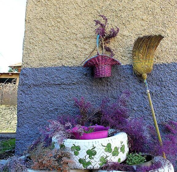 بنسيون La Mia Casa Di Campagna