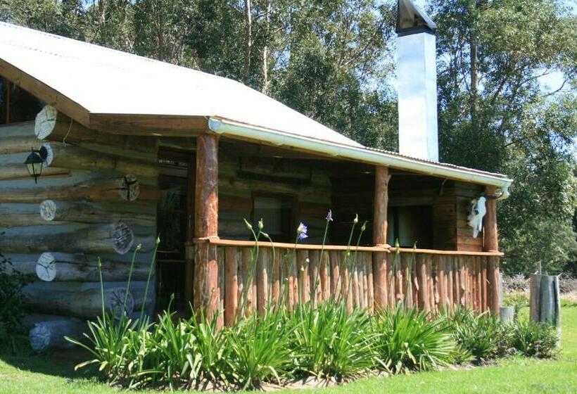 بنسيون Love Earth Farm