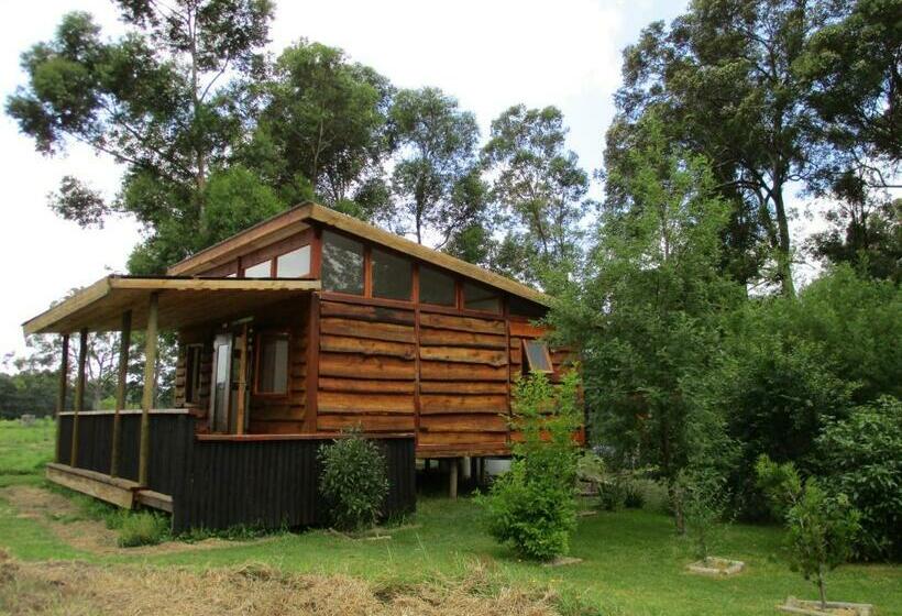 بنسيون Love Earth Farm