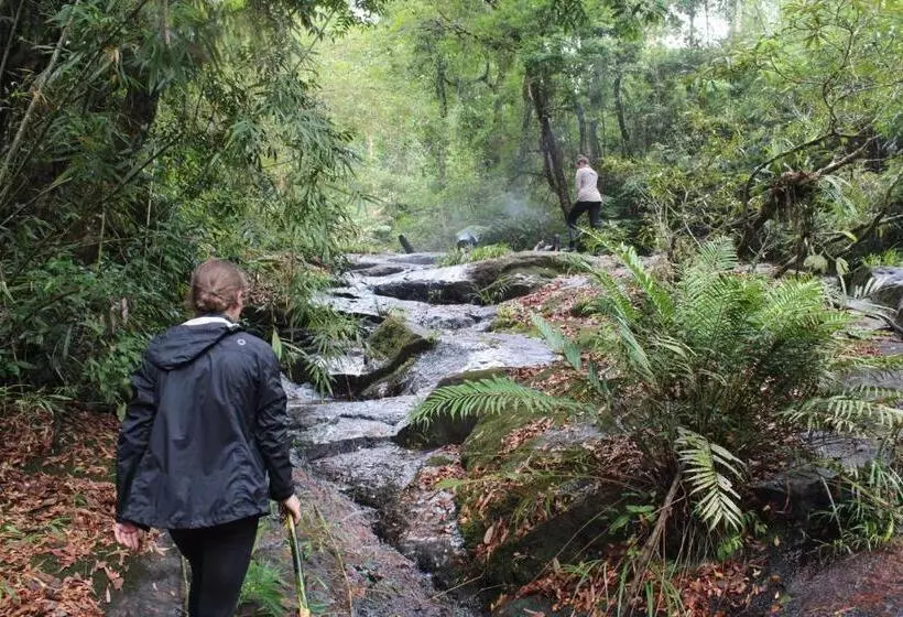 Majatalo Mind House Bungalow