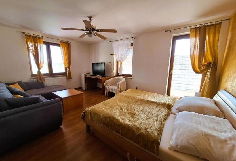 膳宿费 Penzión Villa Agnes