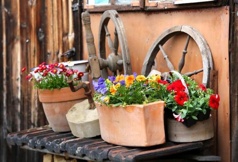 Pensió Penzion U Lasíků