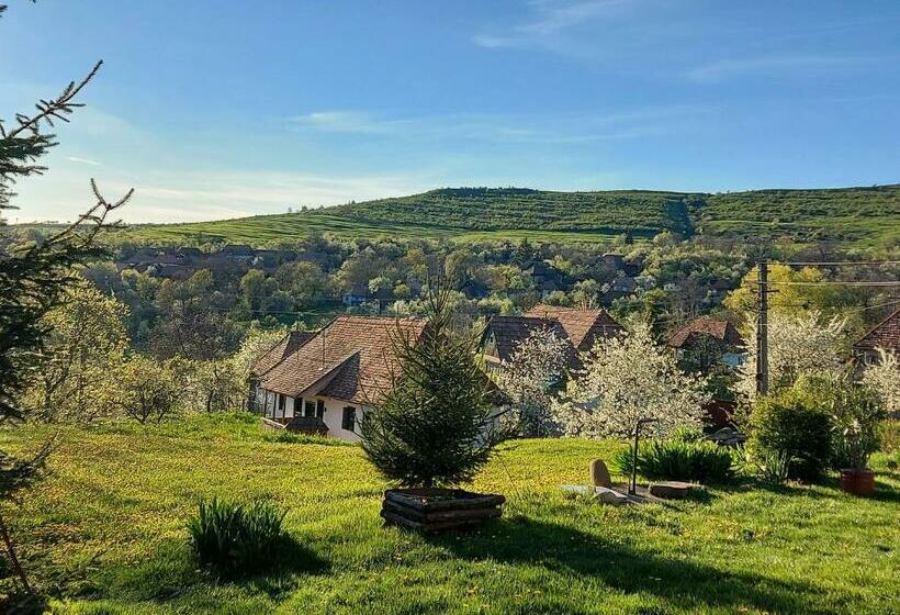 ペンション Siklód. Csaba Vendégház