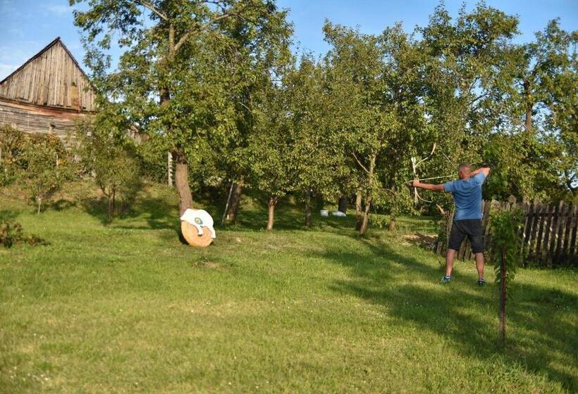 ペンション Siklód. Csaba Vendégház