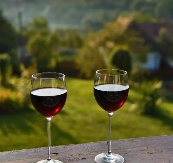 Majatalo Siklód. Csaba Vendégház