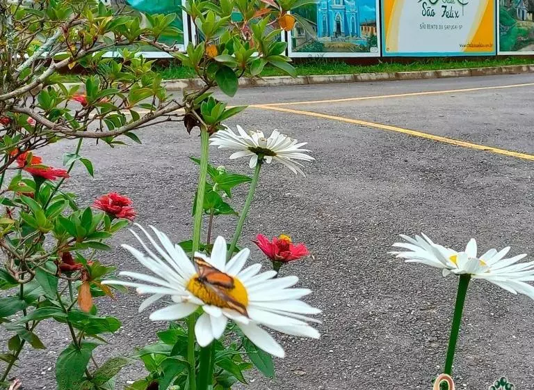 Retkeilymaja Chales Sao Felix