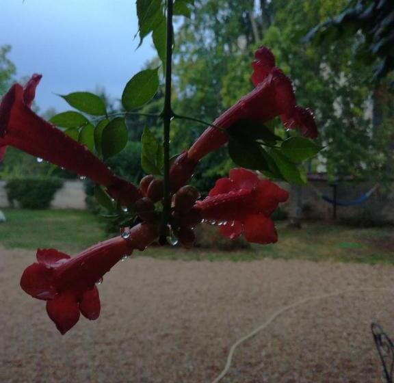 مبيت وإفطار Ancien Presbytère