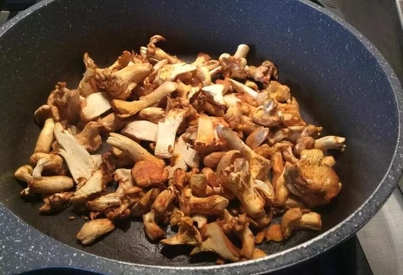 Aamiaismajoitus (B&B) Au Refuge De Blanche