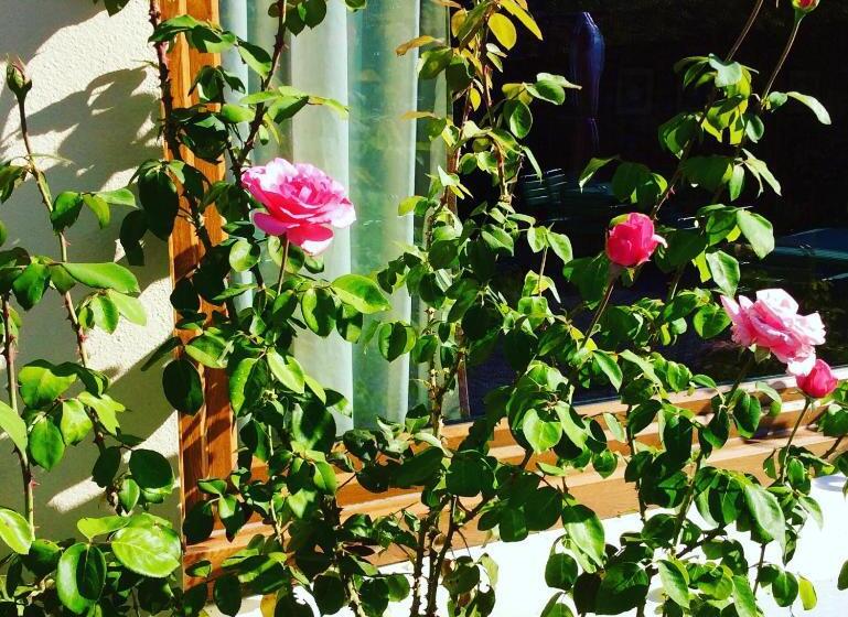 민박 Au Refuge De Blanche