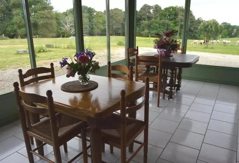 ベッドアンドブレックファースト Domaine De Chantegros