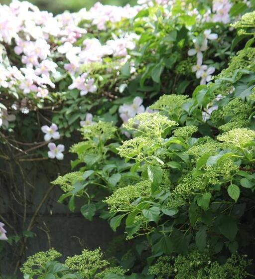 ベッドアンドブレックファースト Le Chemin Du Village