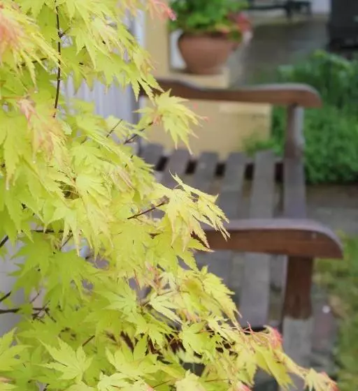 ベッドアンドブレックファースト Le Chemin Du Village