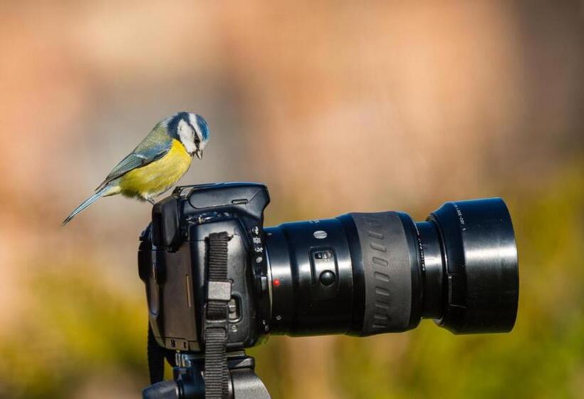 住宿加早餐 Le Verger De La Linotte