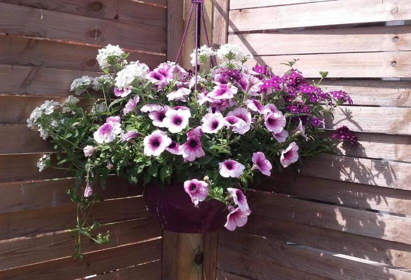 Bed and Breakfast Les Muches