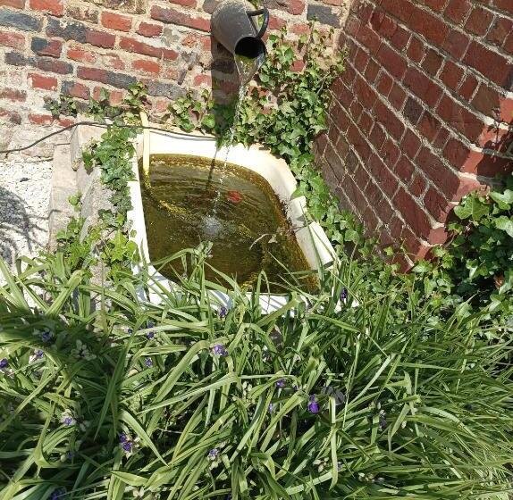 Bed and Breakfast Les Muches