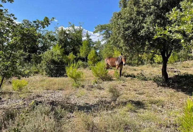 Aamiaismajoitus (B&B) Les Yourtes De Provence