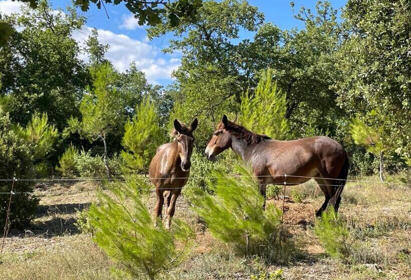 مبيت وإفطار Les Yourtes De Provence
