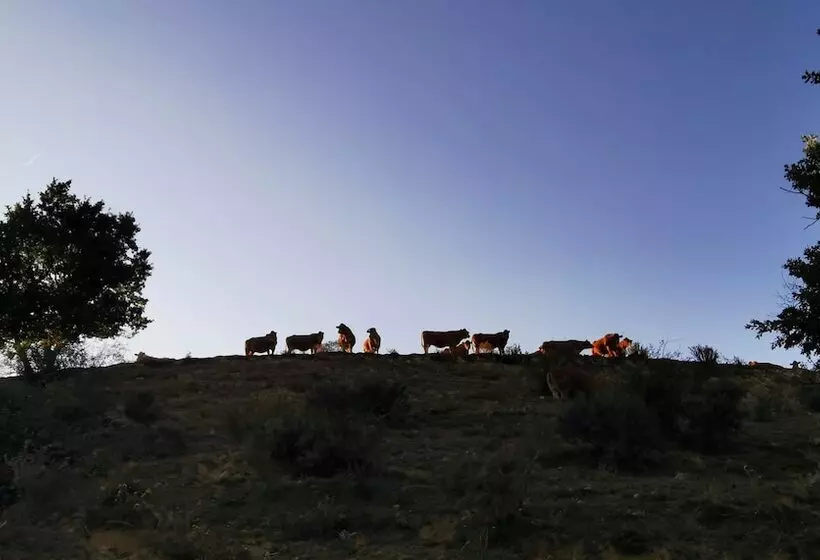 Aamiaismajoitus (B&B) Residence La Borde