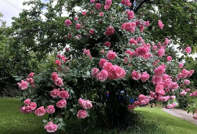 Aamiaismajoitus (B&B) Residence La Borde