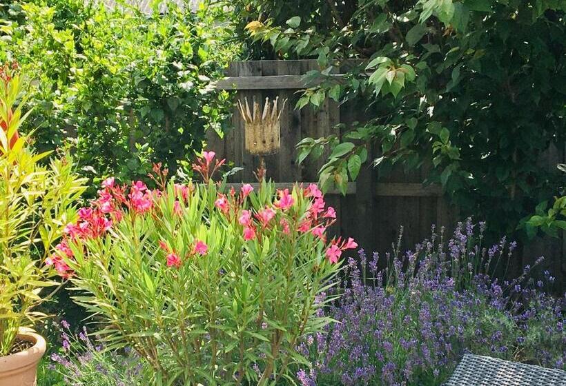 Bed & Breakfast Chez Lips