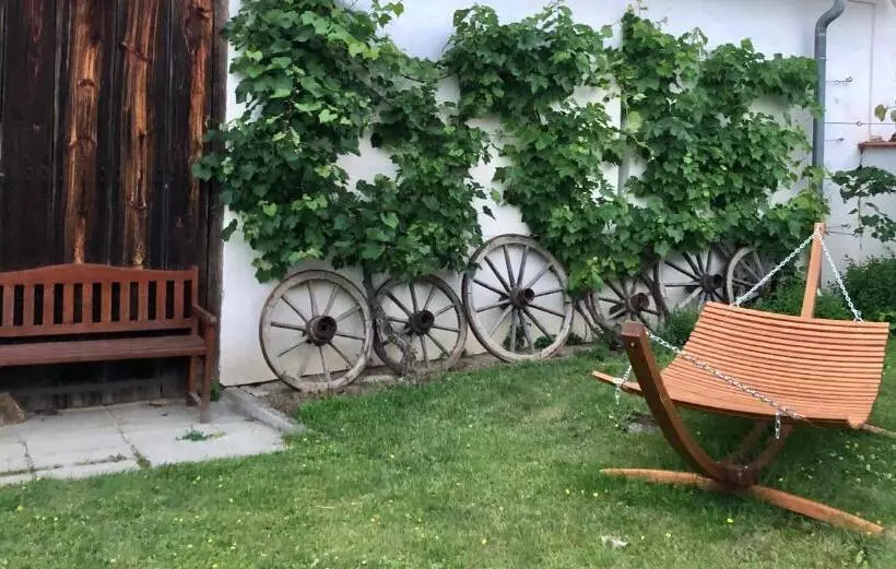 Bed & Breakfast Chez Lips