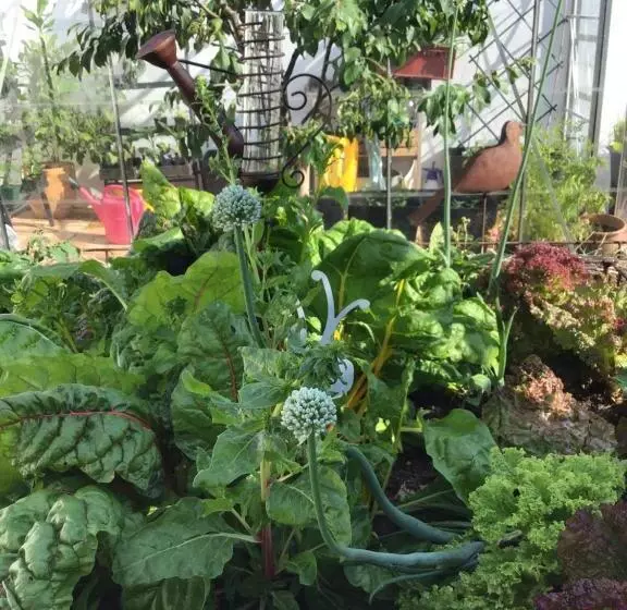 Bed & Breakfast Chez Lips