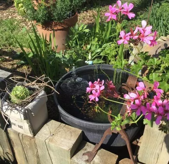 Bed & Breakfast Chez Lips