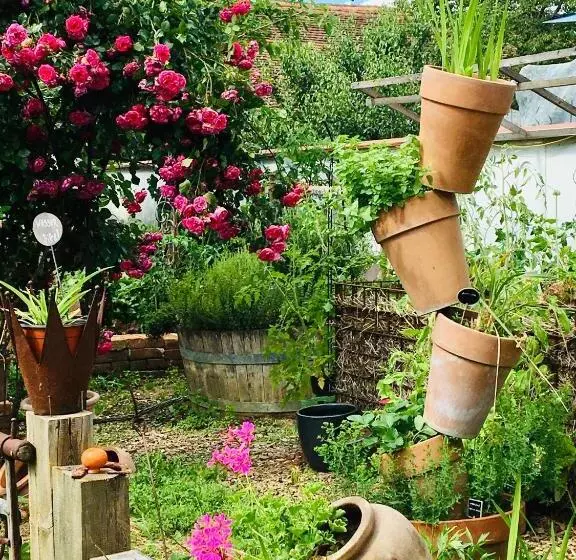 Bed & Breakfast Chez Lips