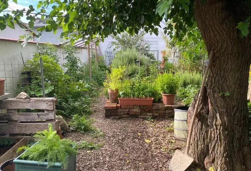 Bed & Breakfast Chez Lips