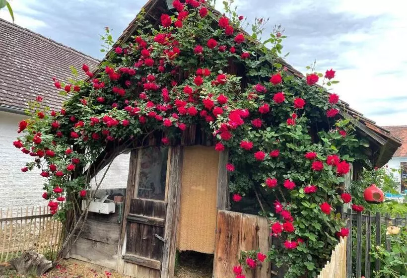 Bed & Breakfast Chez Lips