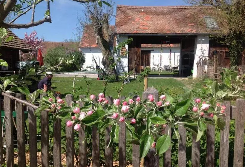 Bed & Breakfast Chez Lips