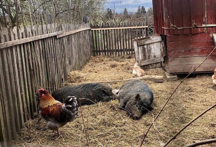 Bed & Breakfast Chez Lips