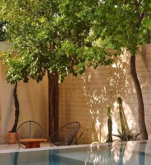 ホテル Casona Los Cedros