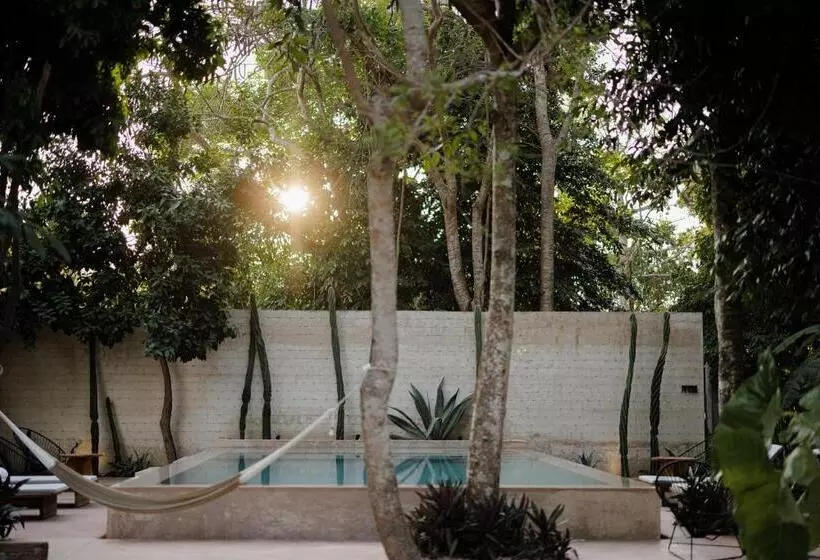 ホテル Casona Los Cedros