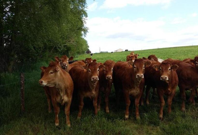 בית מלון כפרי Charmante Maison à La Ferme