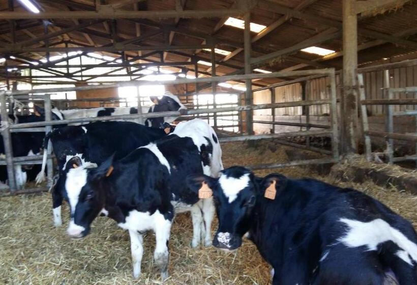 בית מלון כפרי Charmante Maison à La Ferme