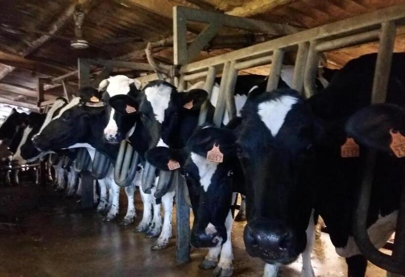 בית מלון כפרי Charmante Maison à La Ferme