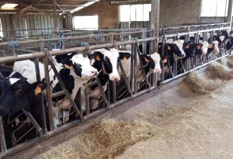ホテル Charmante Maison à La Ferme