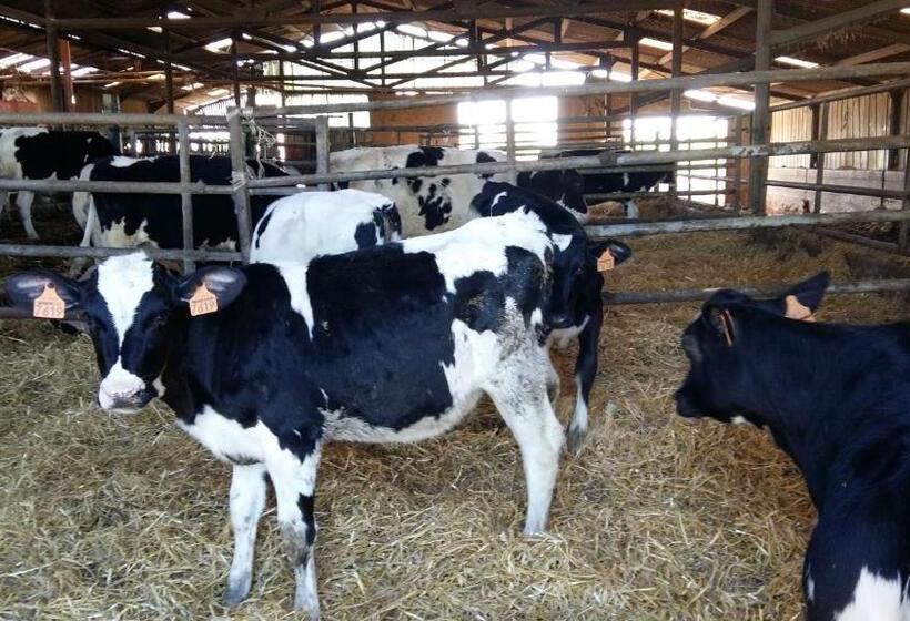 בית מלון כפרי Charmante Maison à La Ferme